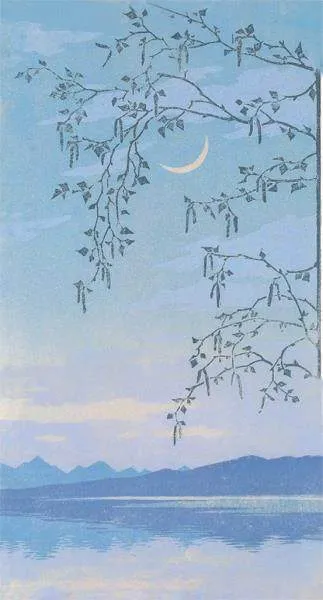 苍苍茫茫的夜晚